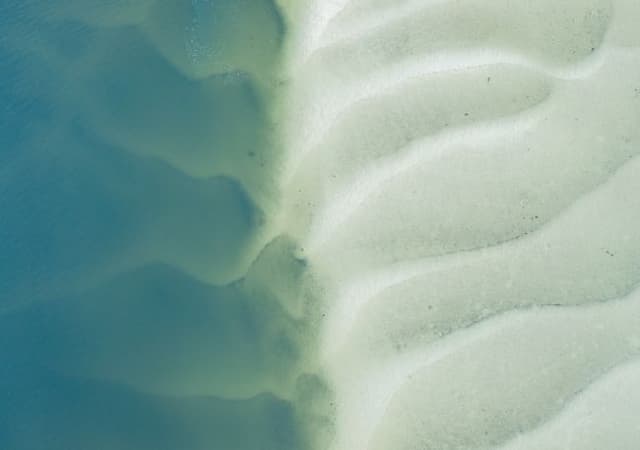Feature Image