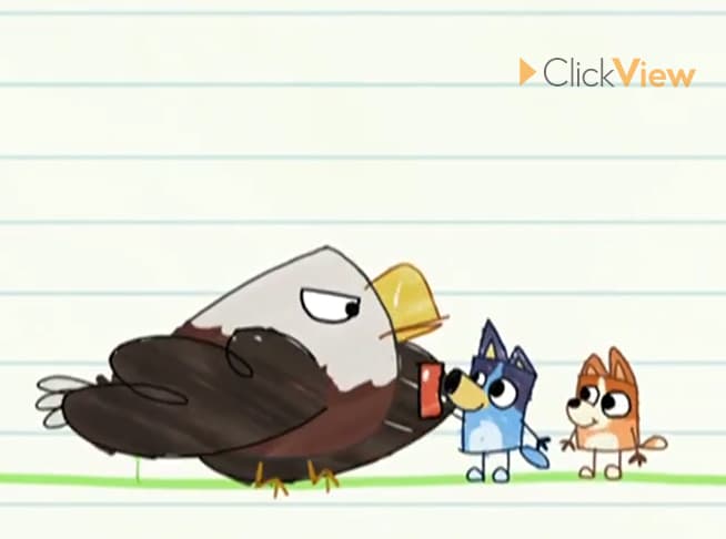 Feature Image